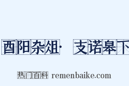 酉阳杂俎·支诺皋下是什么意思的图片